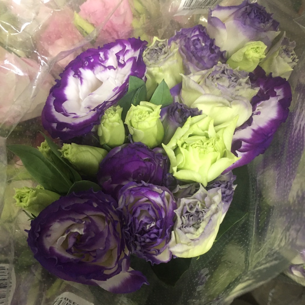 ดอกไลเซนทัส-ดอกไม้สด-350-ดอกจริงสวยสด-รับประกันคุณภาพ