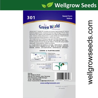 SweetCorn Yellow (30 seeds) 黄玉米  Biji Benih Jagung Manis Green World GW301上衣/儿童/手链/花园/向日葵/文胸/芹菜/生菜/木瓜/内裤/ CSKT