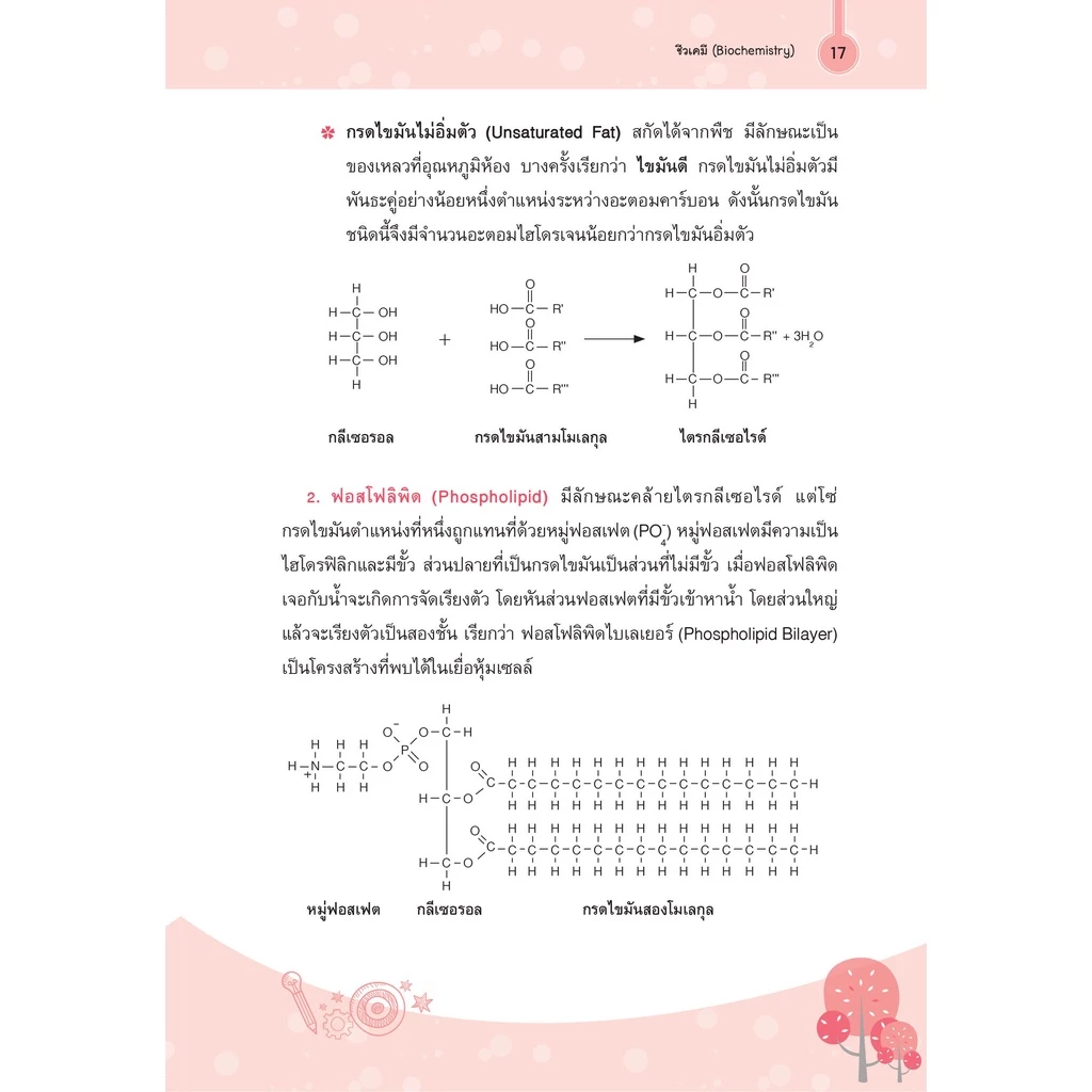 ตัวอย่างการสรุปเนื้อหา