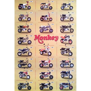 โปสเตอร์ รูปถ่าย รถมอเตอร์ไซค์ ฮอนด้า HONDA Monkey Bike POSTER 24”X35” Inch JAPANESE Mini Motorbikes V1