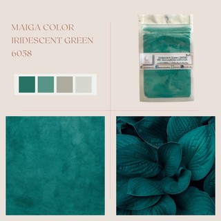 ภาพหน้าปกสินค้าสีไมก้า สี lridesent Green ( 6058 ) บรรจุ 4 กรัม บรรจุถุงซิปใช้งานง่าย ซึ่งคุณอาจชอบสินค้านี้