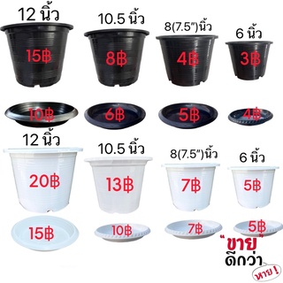 กระถาง 8 นิ้ว 10 นิ้ว 6 นิ้ว 4 นิ้ว 12 นิ้ว กระถางขาว กระถางดำ