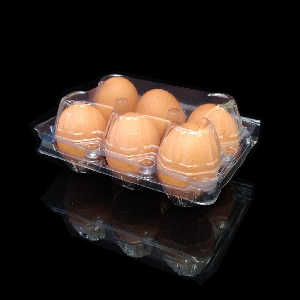 ลัง-500-ใบ-กล่องไข่6ฟองล็อค-กล่องใส่ไข่-กล่องพลาสติกใส่ไข่6ฟอง-สำหรับไข่-0-1-2