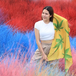 ภาพหน้าปกสินค้าผ้าพันคอ ผ้าคลุมไหล่ Cannabis ลายกัญชา (เลือกได้ 3 สี) ที่เกี่ยวข้อง