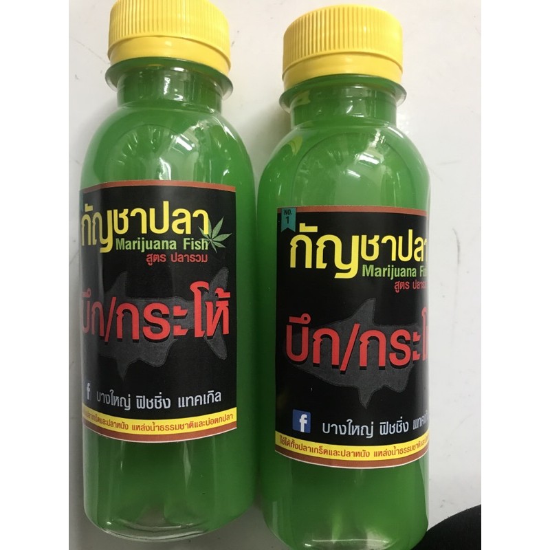 เหยื่อตกปลา-หัวเชื้อกัญชาปลา-สูตรสำหรับปลาบึก-ปลากะโห้