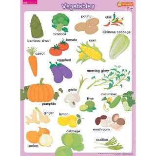ภาพหน้าปกสินค้าMISBOOK โปสเตอร์พลาสติก Vegetables (ใช้กับ Talking Pen) ซึ่งคุณอาจชอบสินค้านี้