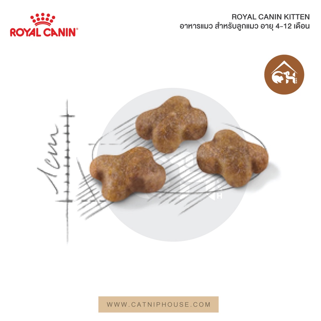 ถูกที่สุด-royal-canin-kitten-อาหารแมว-สำหรับลูกแมว-อายุ-4-12-เดือน-0-4-กิโลกรัม