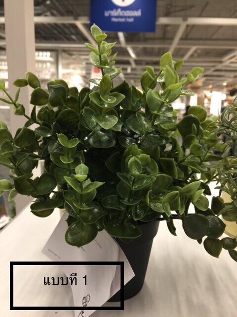 ภาพสินค้าFejka ต้นไม้ประดิษฐ์มีให้เลือก 4 แบบ สูง 22 cm. IKEA จากร้าน ruji78 บน Shopee ภาพที่ 2