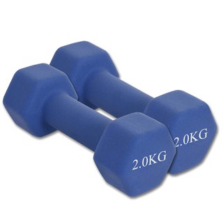 สินค้า ดัมเบล Dumbbells สำหรับลดไขมันต้นแขน ออกกำลังกาย ฟิตเนส 2 Kg. 1 ชิ้น