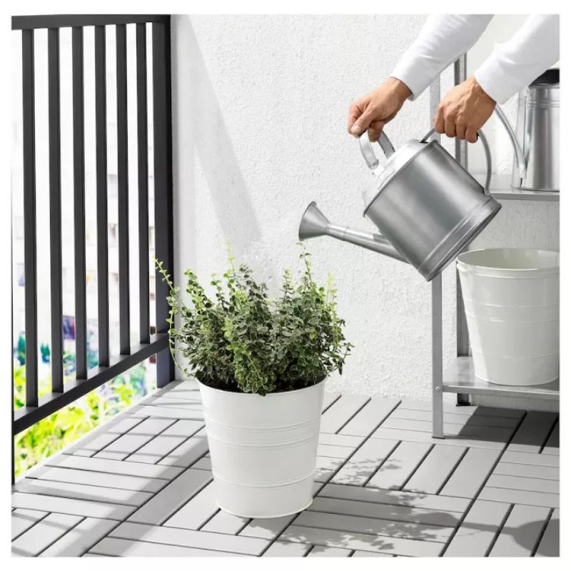 socker-บัวรดน้ำต้นไม้-กัลวาไนซ์-5ลิตร-watering-can-indoor-amp-outdoor-galvanised-5l