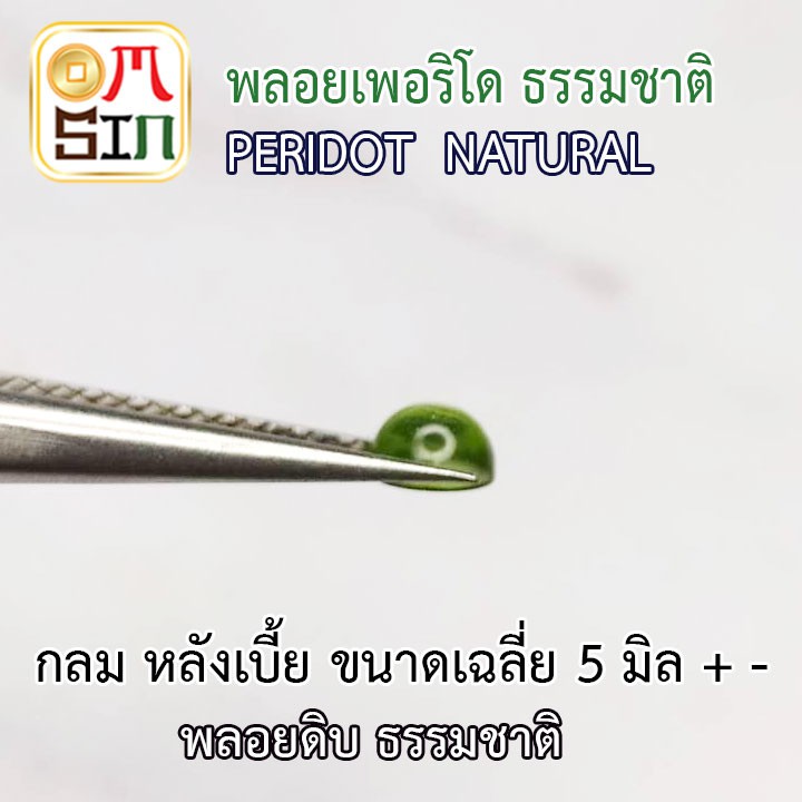 a189-omsin-เฉลี่ย-5-มิล-หลังเบี้ย-กลม-พลอยเพอริโด-peridot-สีเขียวอ่อน-พลอยสด-ไม่เผา-ธรรมชาติแท้