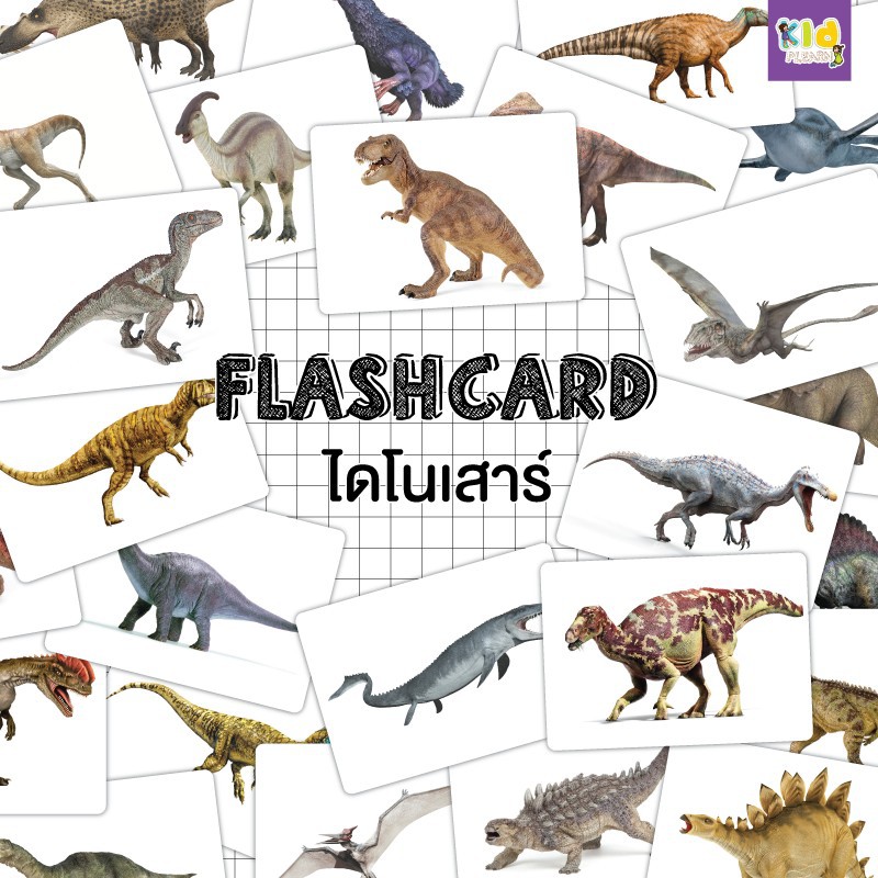 flashcardแฟลชการ์ดไดโนเสาร์-dinosaur