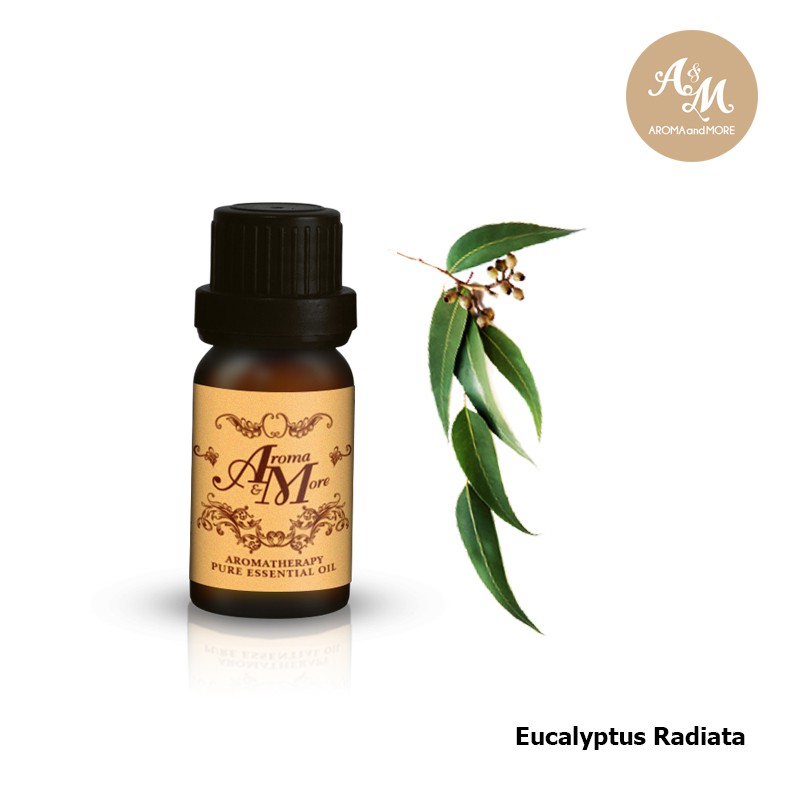 aroma-amp-more-eucalyptus-radiata-essential-oil-100-น้ำมันหอมระเหยยูตาลิปตัส100-australia-10-30ml