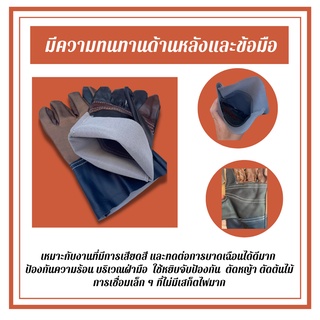 ภาพขนาดย่อของภาพหน้าปกสินค้าถุงมือหนังสั้น 10 นิ้วA01001 (แพ็ค 1 คู่) ถุงมือหนังช่างเอนกประสงค์ หยิบจับป้องกันความร้อน ป้องกันบาด งานช่างเชื่อม จากร้าน a_ma_online บน Shopee ภาพที่ 1