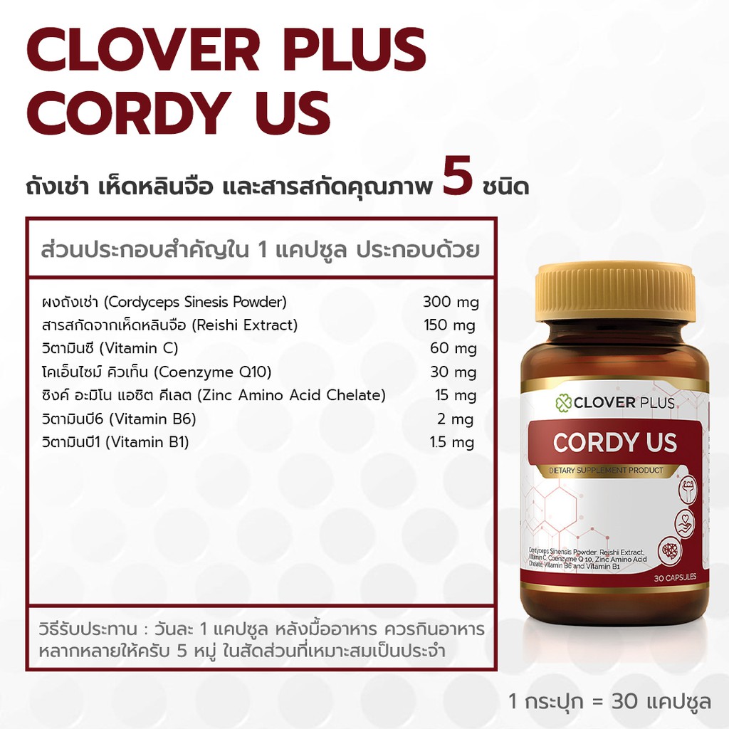 จับคู่-clover-plus-cordy-us-ถั่งเช่า-clover-plus-19-multivit-and-mineral-วิตามินรวมและแร่ธาตุกว่า19-ชนิด