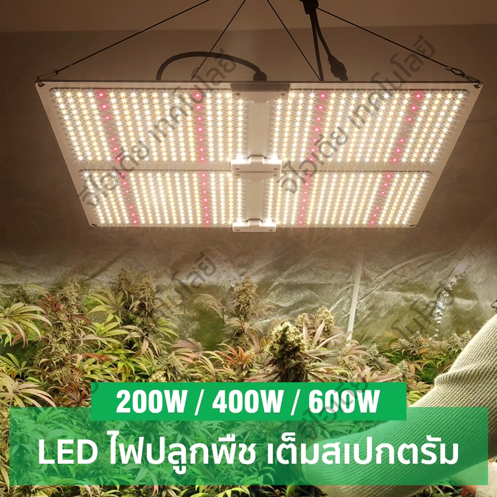 อุตดม-ไฟปลูกต้นไม้-led-grow-light-full-spectrum-samsung-lm281b-4000w-6000w-ไฟปลูก-หรี่แสงได้-เร่งการเจริญเติบโตของพืช