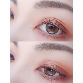 (1pair)(Nov. 17)Sugar Series,Clamido Brand,14.0mm,(power0.0-7.0),Contact Lens yearly use(brown)