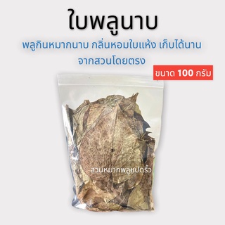 พลูนาบกินกับหมาก ใบพลูนาบ ใบพลูแห้ง คละไซส์เล็กกลางใหญ่ ขนาด 100 g