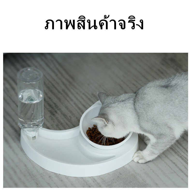 ชามแมว-ชามหมา-ที่ให้อาหาร-ชามสัตว์เลี้ยง-2in1-ทรงพระจันทร์เสี้ยว