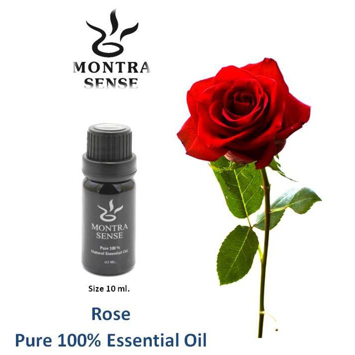 น้ำมันหอมระเหย-pure100-essential-oil-10-ml-montra-sense