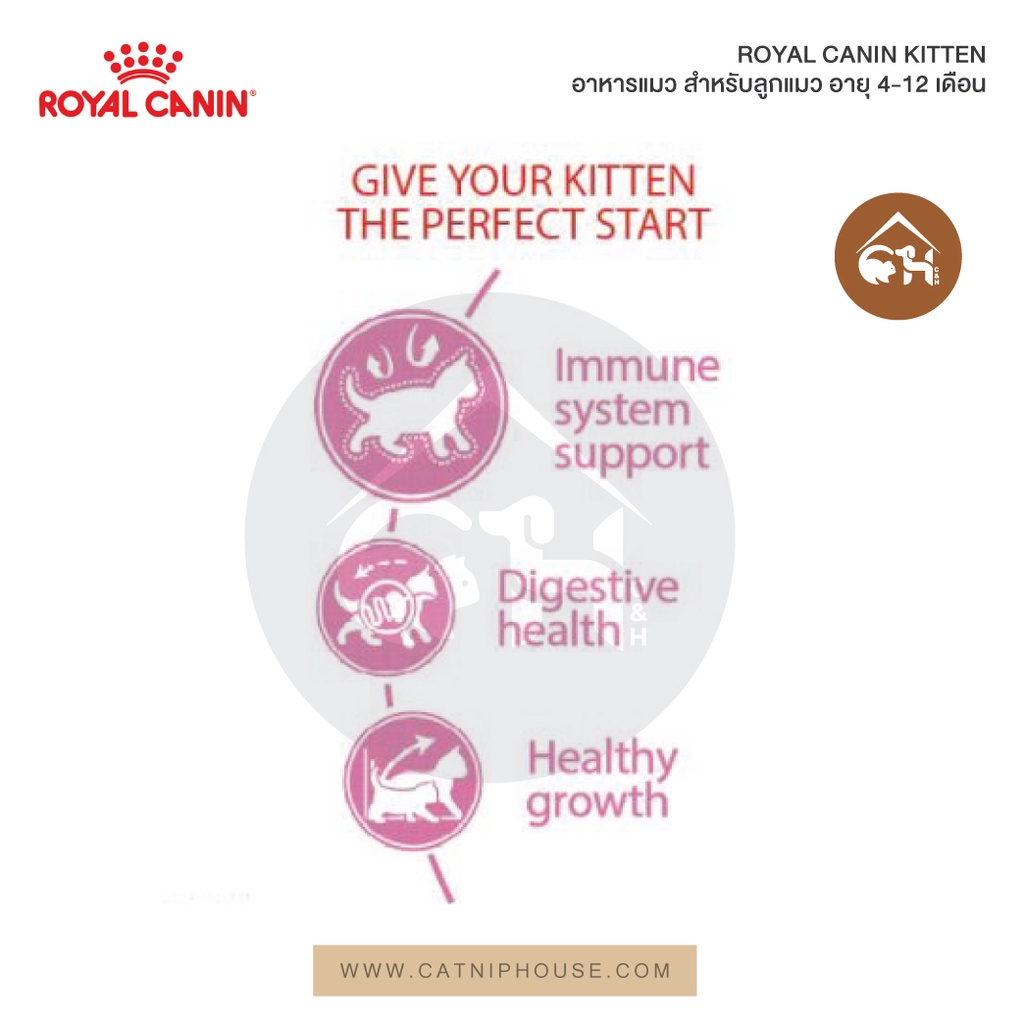 ถูกที่สุด-royal-canin-kitten-อาหารแมว-สำหรับลูกแมว-อายุ-4-12-เดือน-0-4-กิโลกรัม