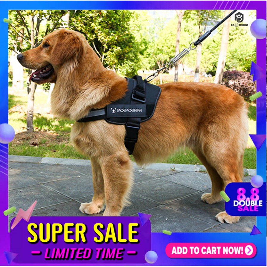 สายจูงสุนัขใหญ่-เสื้อพร้อมสายจูง-เสื้อหมาเล็ก-ใหญ่-จัดส่งให้ลูกค้าภายใน-24-ชม