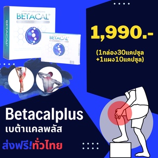 ภาพขนาดย่อของภาพหน้าปกสินค้าbetacal plus เบต้าแคลพลัส 1กล่อง 30แคปซูล (ส่งฟรี ) เบต้าแคล พลัส จากร้าน betax.thailand บน Shopee ภาพที่ 1