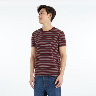 ภาพหน้าปกสินค้าAIIZ (เอ ทู แซด) - เสื้อยืดคอกลม ลายทาง  Striped Crew-Neck T-shirts ซึ่งคุณอาจชอบราคาและรีวิวของสินค้านี้