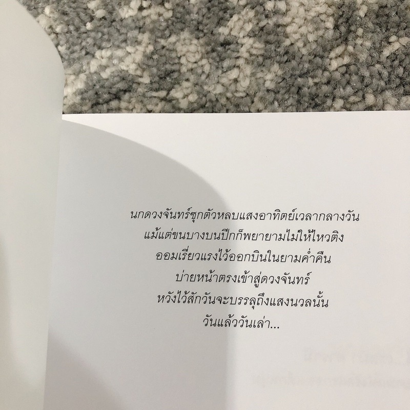 หนังสือนวนิยายเรื่อง-นกดวงจันทร์