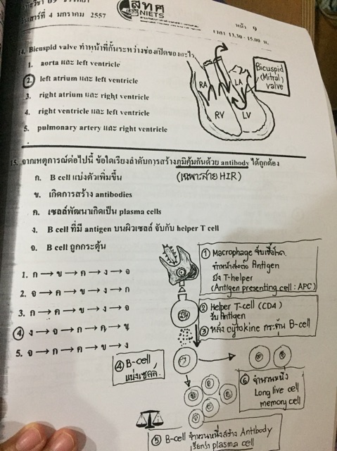 ข้อสอบ-9-วิชา-ชีววิทยา-กสพท-ปี-55-58