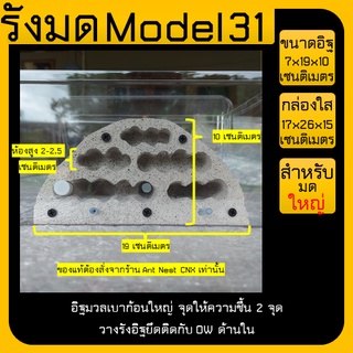 🐜รังมด Model 31 (Ant nest) อิฐมวลเบาวางใน OW ไซส์ใหญ่