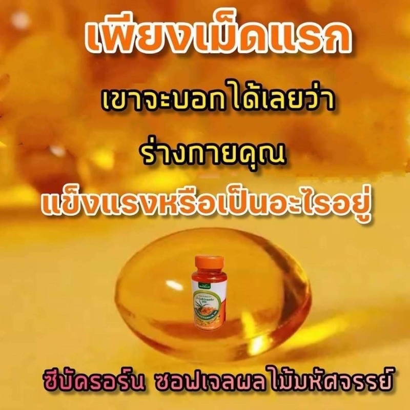 ซีบัคธอร์น-ราชาแห่งผลไม้-ในตระกูลเบอร์รี่