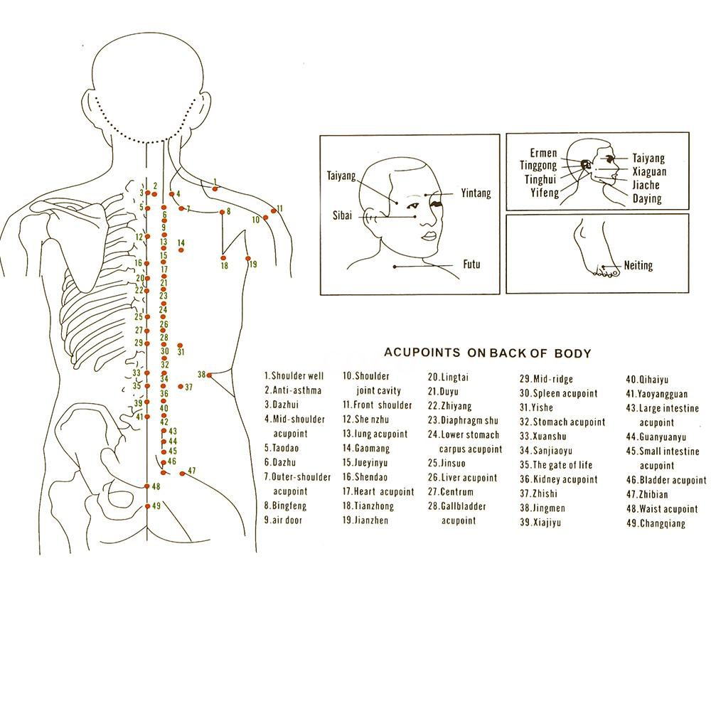 ถ้วยซิลิโคนสำหรับนวดหน้า-4-ขนาด-4-ขนาด-4-ชิ้น