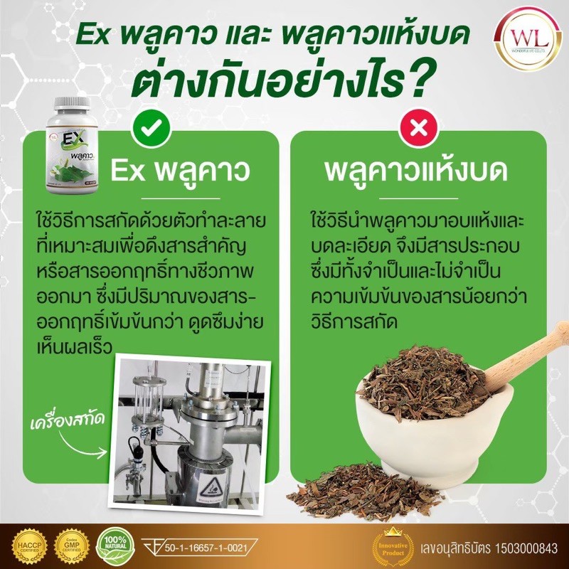 โปร-1-แถม-1-ยาสีฟัน-ex-พลูคาว-คาวตอง-สมุนไพรพลูคาว-wonderfullife-ex-houttuynia-cordata