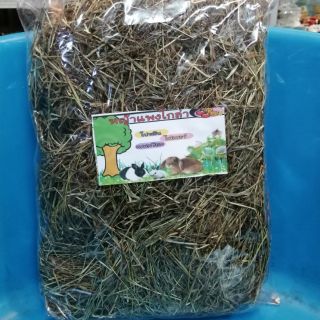 ราคาหญ้าแพงโกล่าสำหรับ​กระต่าย​ถุงละ15
