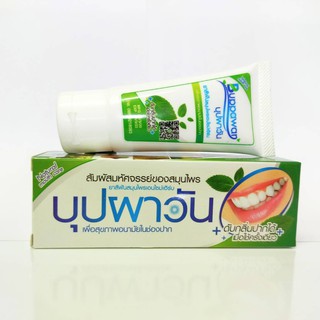 ยาสีฟันบุปผาวันเอนไซม์เฮิร์บ Buppawan Herbal Toothpaste สูตรสมุนไพร(สีเขียว) หลอดเล็ก 40 กรัม