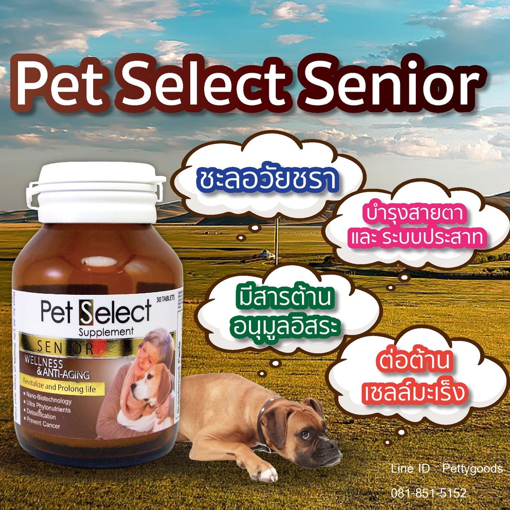 pet-select-senior-แท้-อาหารเสริมสุนัข-แมว-สูงอายุ-ต่อต้านอนุมูลอิสระ-ชะลอวัย