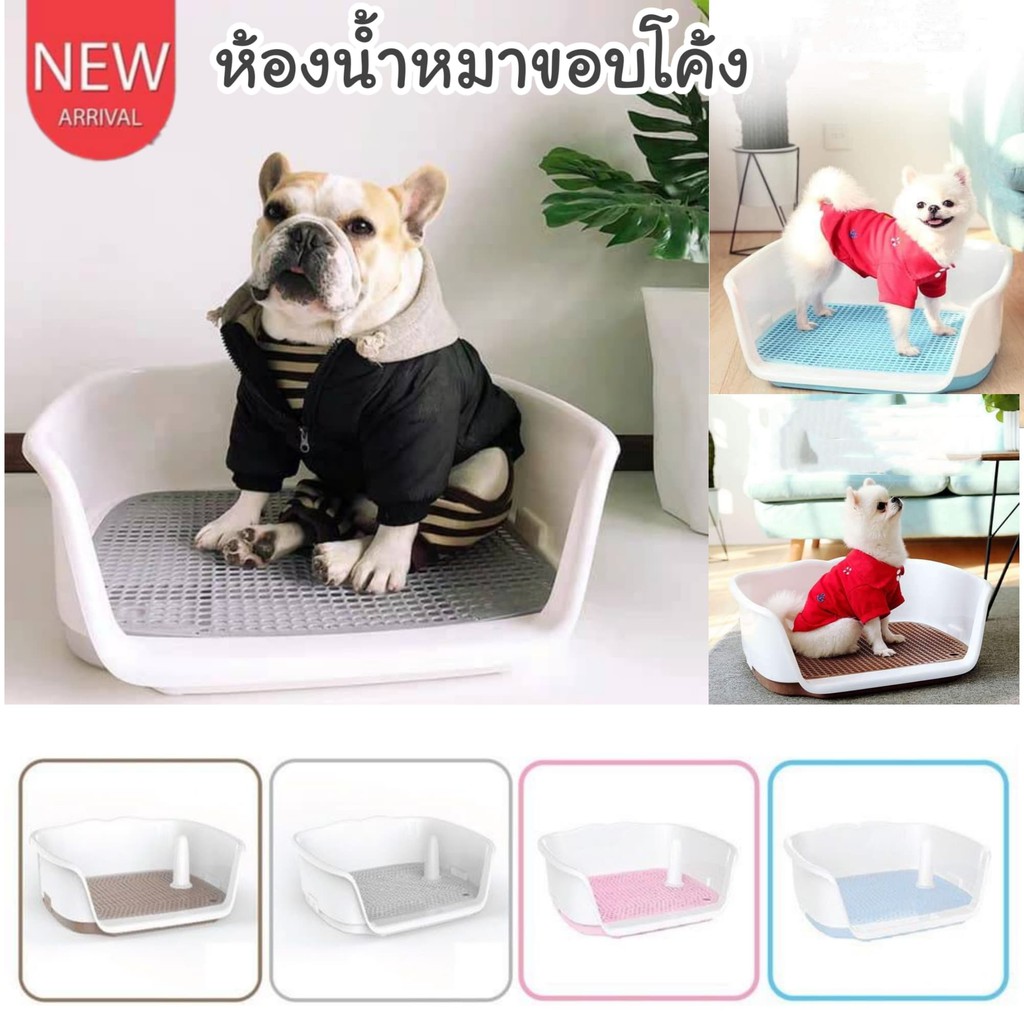 ราคาและรีวิวCatHoliday ห้องน้ำหมาขอบโค้ง ห้องน้ำสัตว์เลี้ยง ห้องน้ำหมา