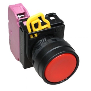 Push button switch สวิตซ์ปุ่มกดหัวเรียบ-กดเด้งกลับ รุ่น YW1B-M1E01R "IDEC"