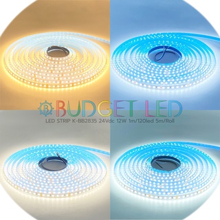 LED STRIP K-BB2835-120 DC-24V IP20 600LED/5m 12W/1m แอลอีดีไฟเส้นแบบเปลือยไม่กันน้ำ สำหรับตกแต่งบ้าน ชั้นวางของ