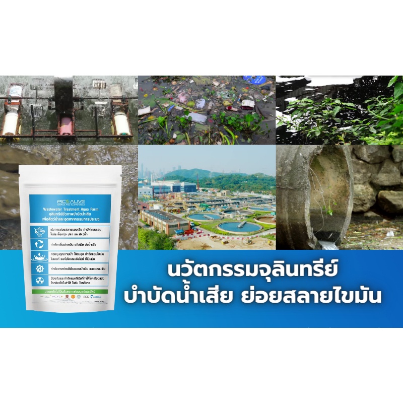 จุลินทรีย์-บำบัดน้ำเสีย-กำจัดกลิ่น-ย่อยสลายไขมัน-น้ำมัน-และของเสีย