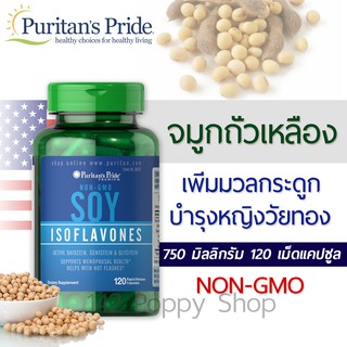 ภาพหน้าปกสินค้าจมูกถั่วเหลืองสกัด Puritan\'s Pride Non-GMO Soy Isoflavones 750 mg 120 Capsules ที่เกี่ยวข้อง