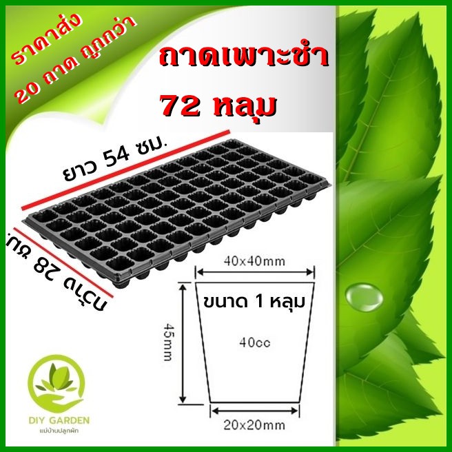 ถาดเพาะกล้า-ถาดเพาะชำ-ถาดเพาะเมล็ด-ถาดเพาะต้นอ่อน-ถาดเพาะข้าว-เพาะเมล็ด-เพาะปลูก-ถาดเพาะ-50-หลุม-72-หลุม-105-หลุม