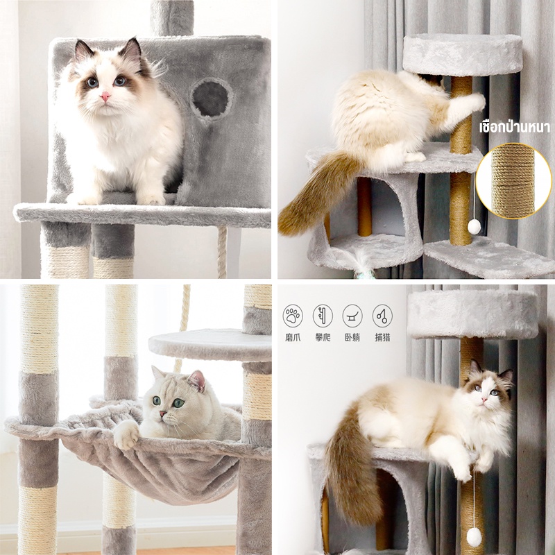 ภาพสินค้าส่งจากกทม. POP คอนโดแมว 135cm เตียงแมว ที่ลับเล็บแมว บ้านแมว เสาลับเล็บ ของเล่นแมว พร้อมของเล่น ปอมปอม กรอบปีนแมว จากร้าน 5rtz3mjfyx บน Shopee ภาพที่ 1