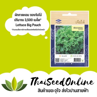 ภาพขนาดย่อของภาพหน้าปกสินค้าเมล็ดพันธุ์ ผักกาดหอมเมล็ดดำ ซองจัมโบ้ เพิ่มปริมาณมากกว่า 3 เท่า ผักสลัด จากร้าน thaiseedonline บน Shopee ภาพที่ 1