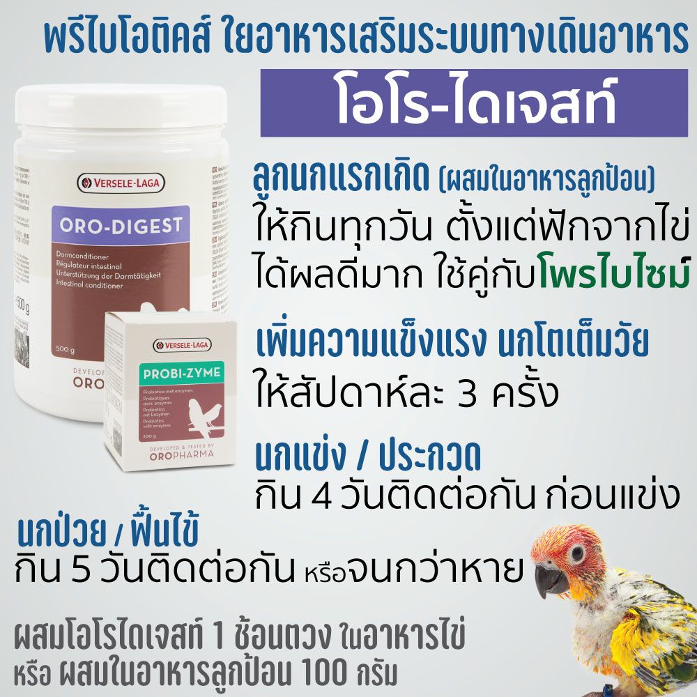 oro-digest-500g-โอโรไดเจสท์-พรีไบโอติคส์