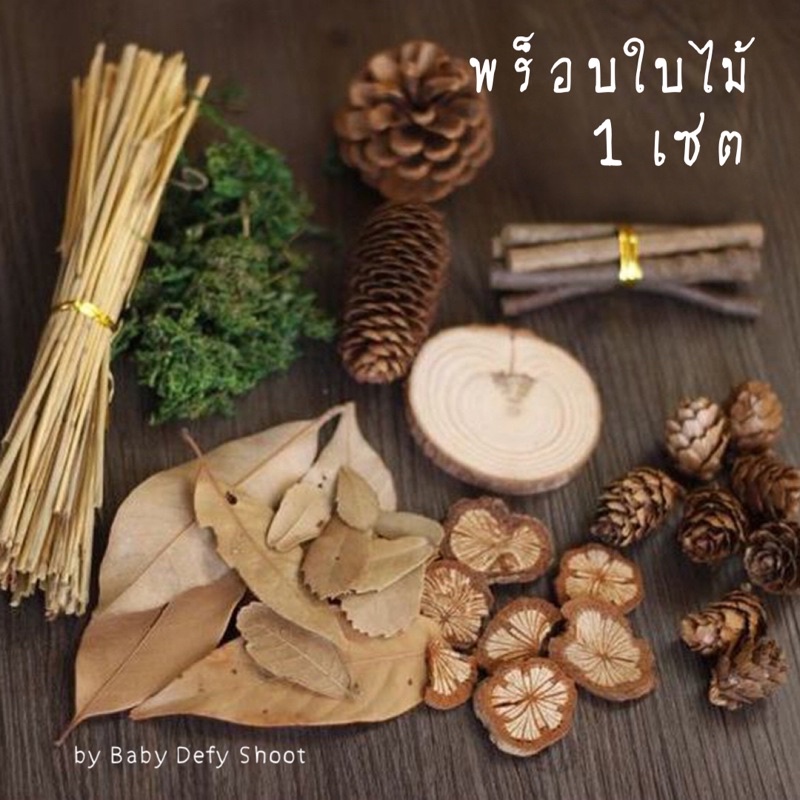 lt-ใหม่-แท่นไม้-gt-พร็อบใบไม้-10ชนิด-dried-wooden-prop-พร็อบถ่ายรูป-ของตกแต่ง-จัดตกแต่ง-ท่อนไม้-แท่นไม้