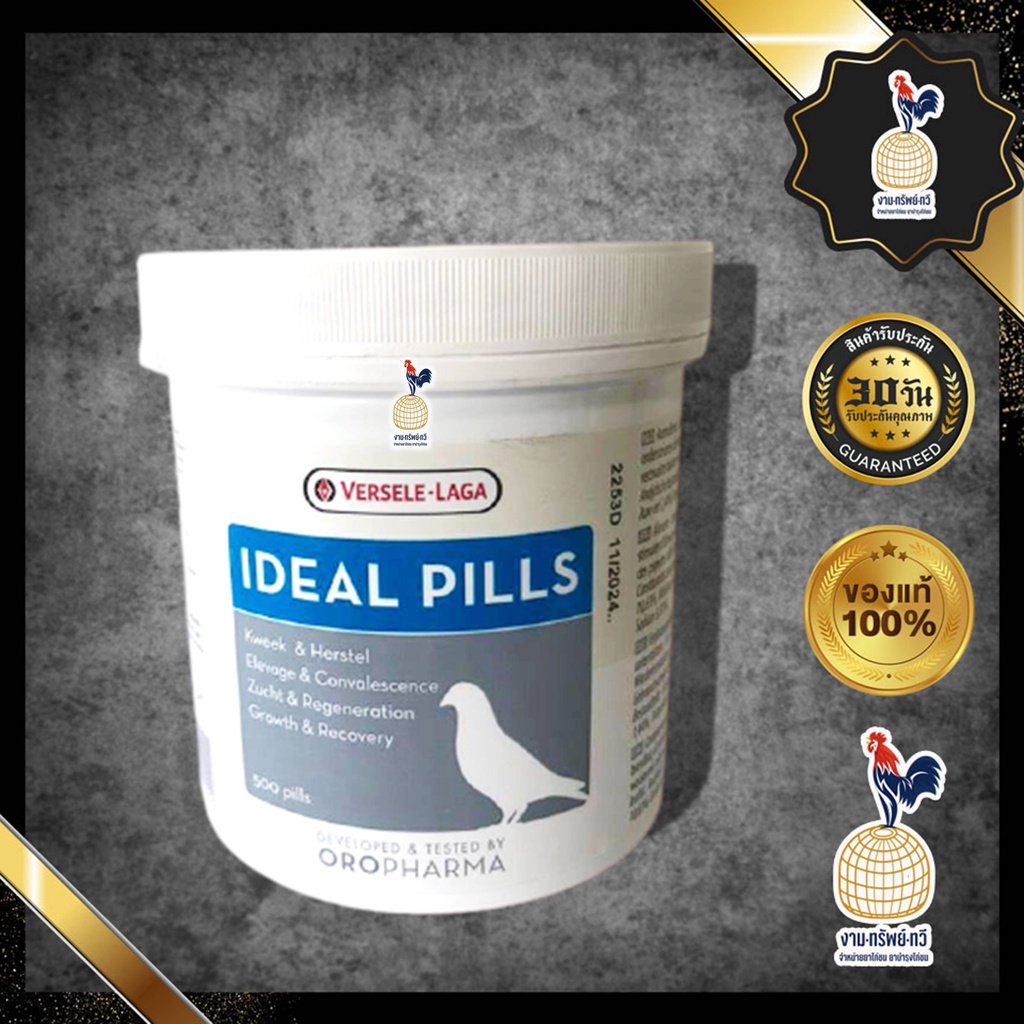 ideal-pills-กระปุก-20-เม็ด-ช่วยเสริมพละกำลัง-ยาไก่ชน-ยาไก่ตี