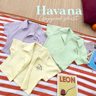 Amavi.bkk | HAVANA cropped shirt