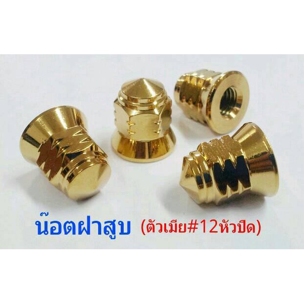 น๊อตสแตนเลส-หัวปิด-ฝาสูบจี้ลาย-เบอร์-12-เช่น-w125-msx-mio-fino-nouvo-spark-spark135